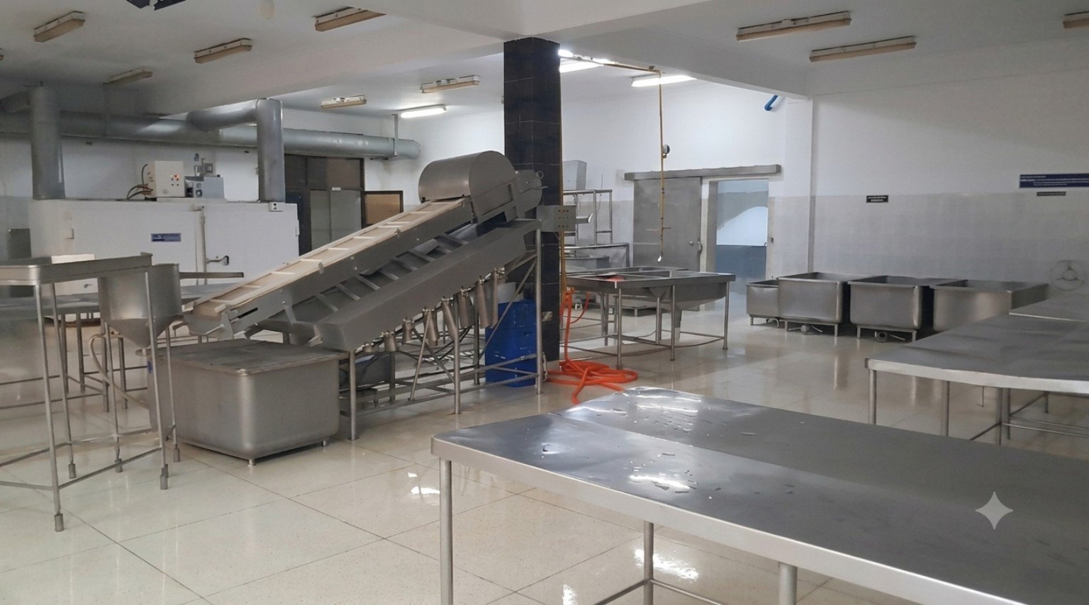 Processing and cook plant at Atlas Sea Food Ltd