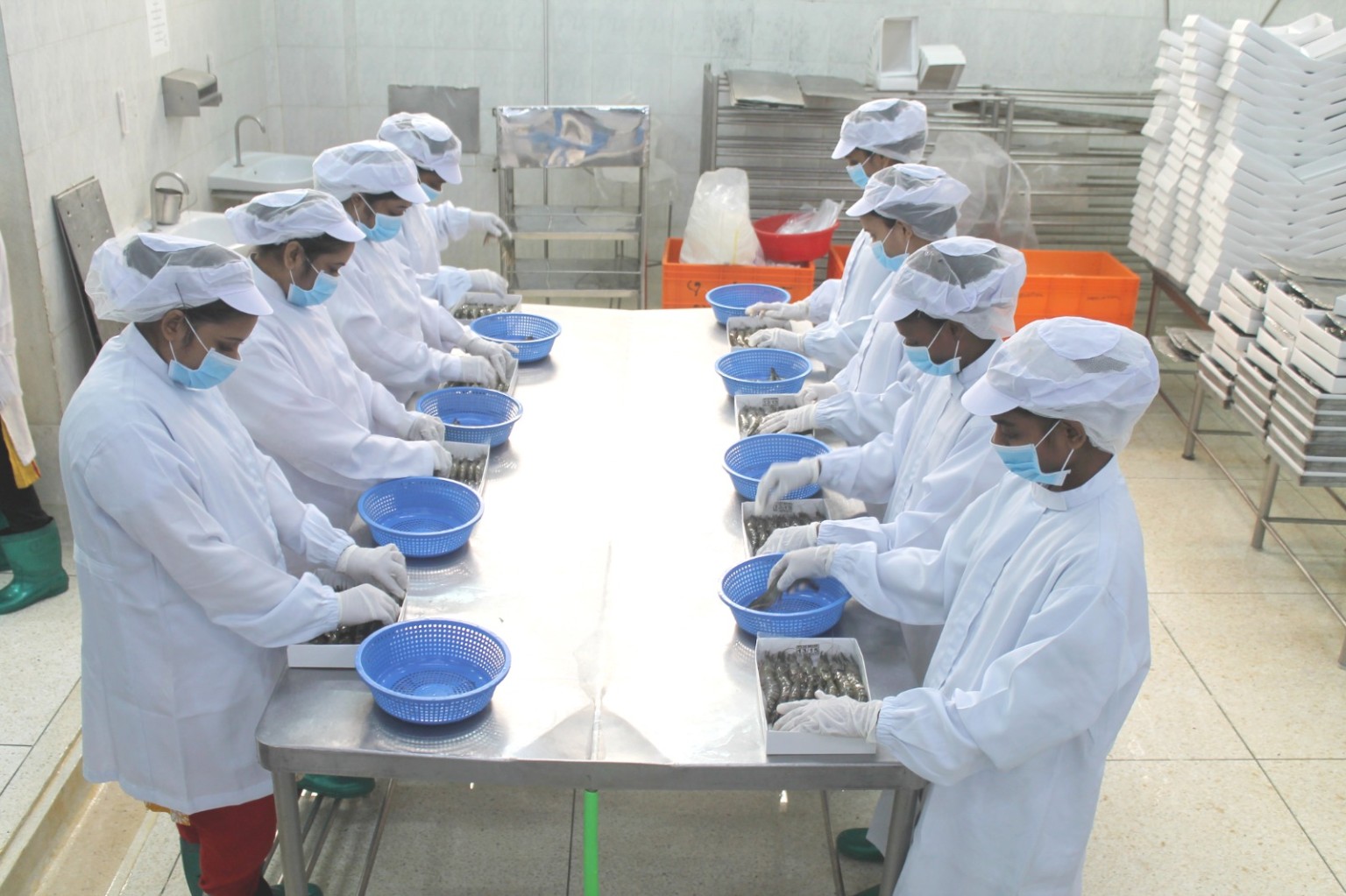 Atlas seafood processing